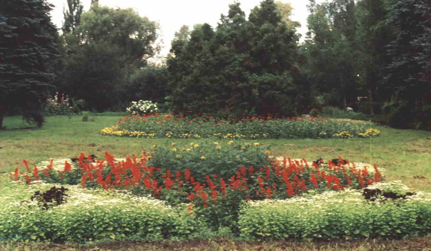 Ботанический сад Ржавитина